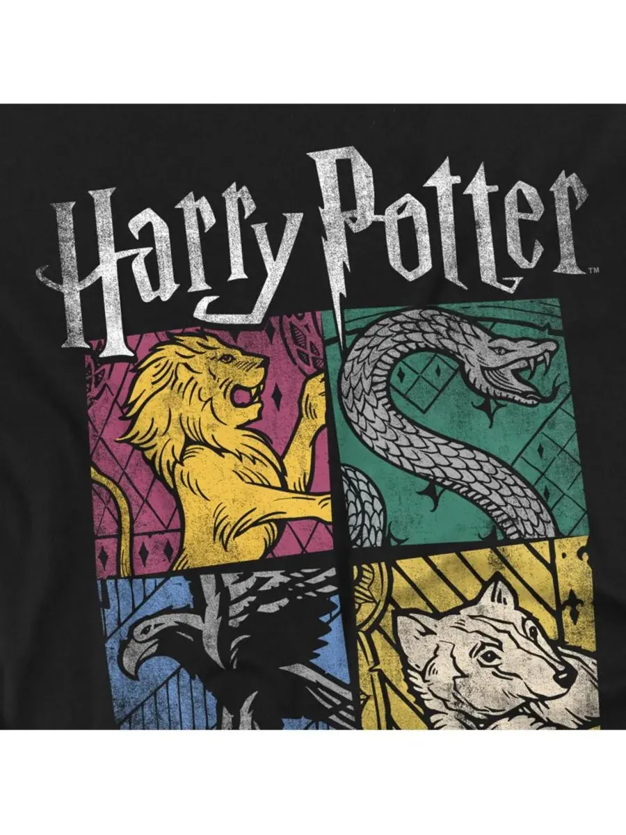 Мужская футболка House Squares Harry Potter — изображение 2 из 3, черный
