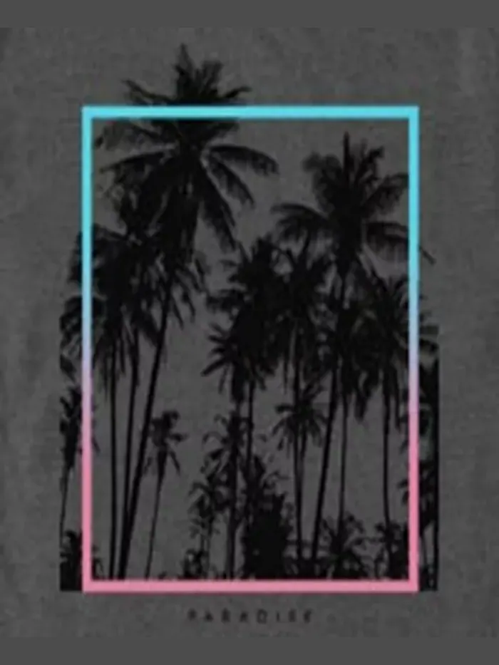 Мужская футболка с коротким рукавом Paradise Palms Fifth Sun — изображение 3 из 3, темно-серый