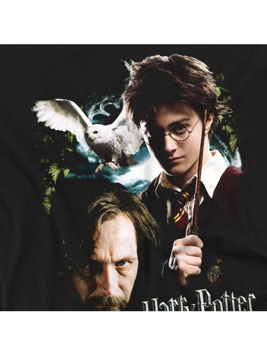 Мужская футболка с Гарри и Сириусом Harry Potter — изображение 2 из 3, черный