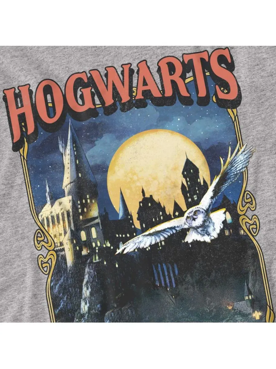Футболка с принтом Hogwarts Poster Harry Potter — изображение 2 из 3, приглушенный