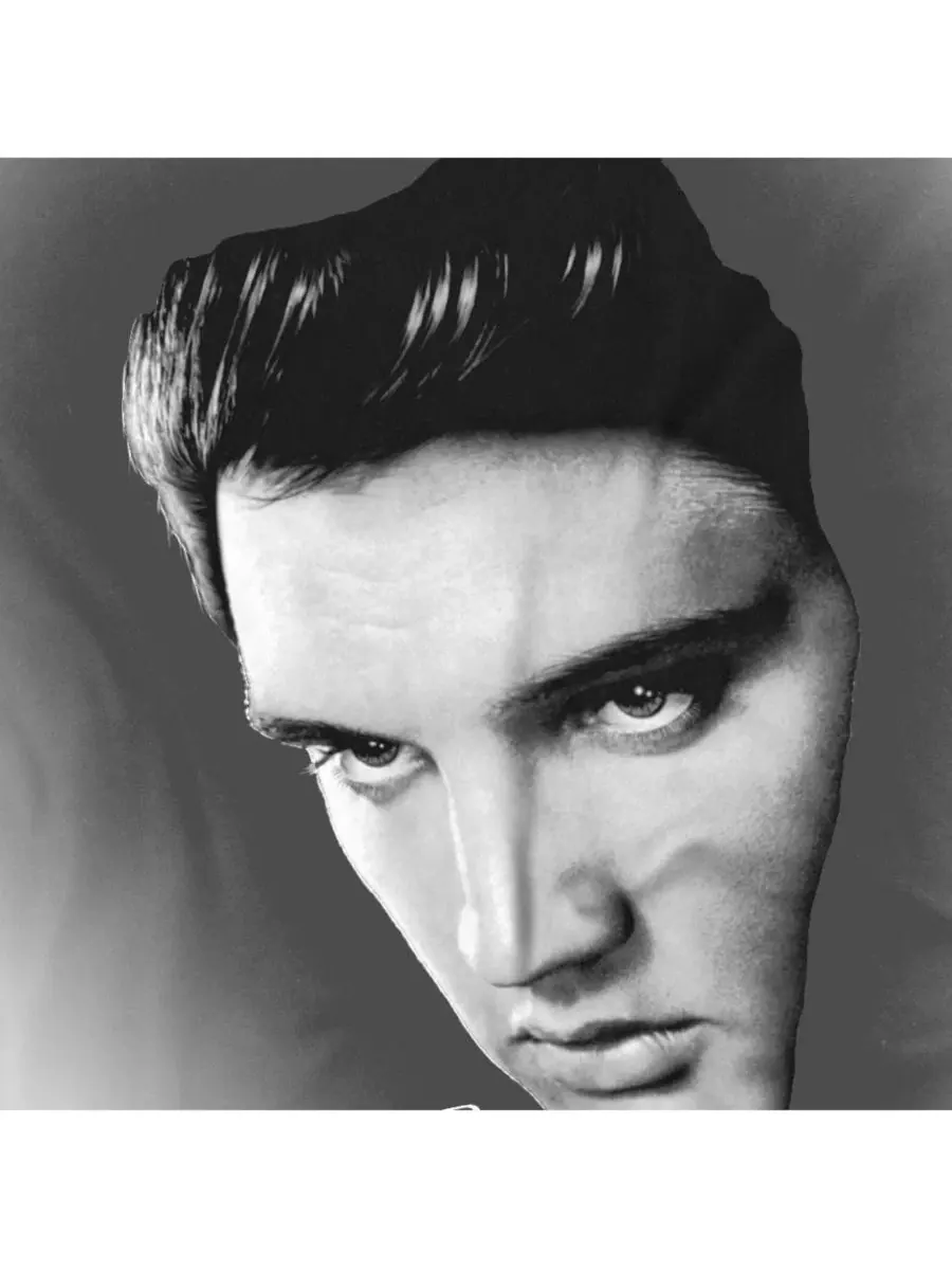 Футболка с принтом Presley Face Elvis — изображение 3 из 3, черный