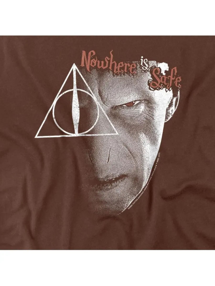 Футболка с принтом Nowhere Is Safe Harry Potter — изображение 3 из 3, коричневый