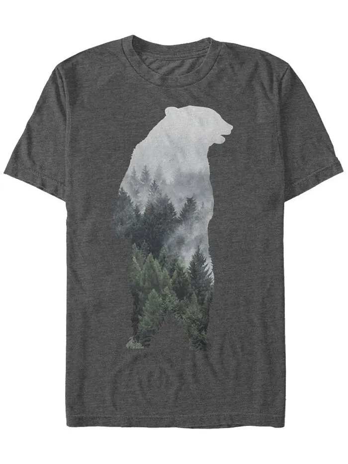 Мужская футболка с коротким рукавом Bear Mountain с круглым вырезом Fifth Sun — изображение 1 из 1, темно-серый