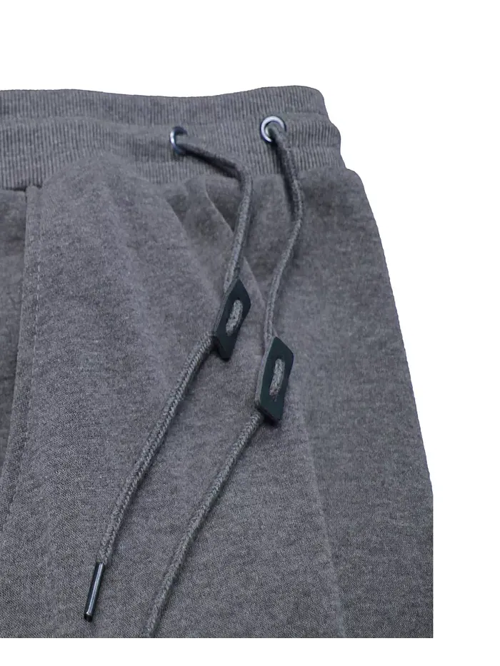 Мужские спортивные брюки с флисовой подкладкой Jogger Blue Ice — изображение 4 из 4, темно-серый