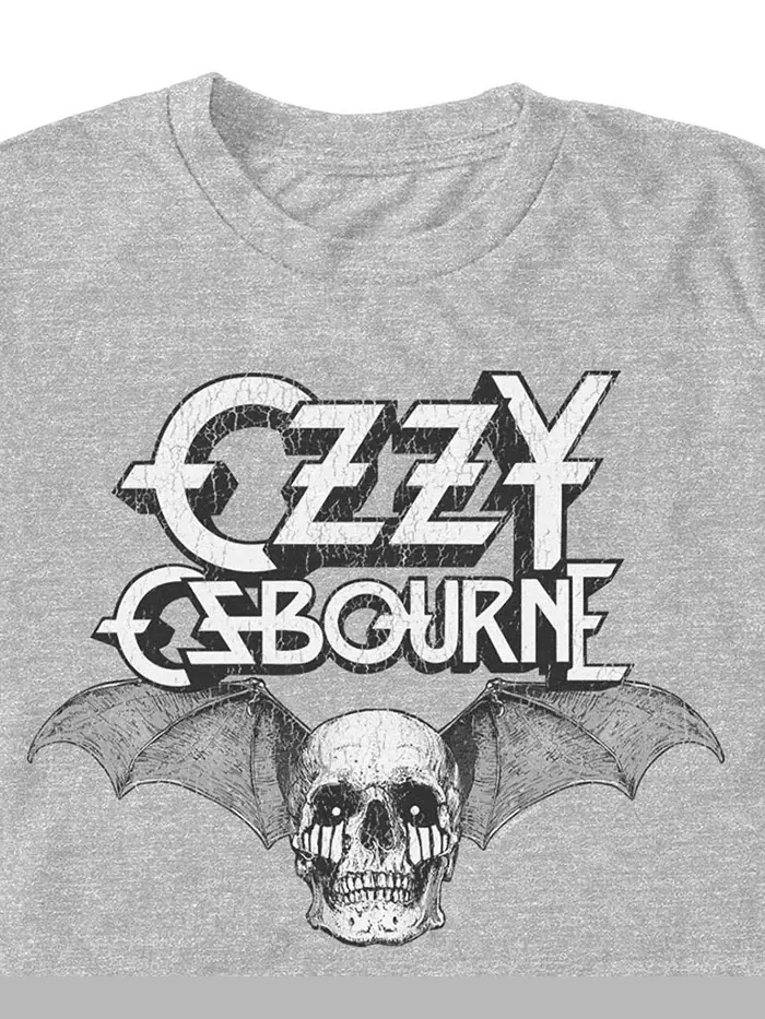 Мужская футболка Ozzy с круглым вырезом Fifth Sun — изображение 2 из 3, серый