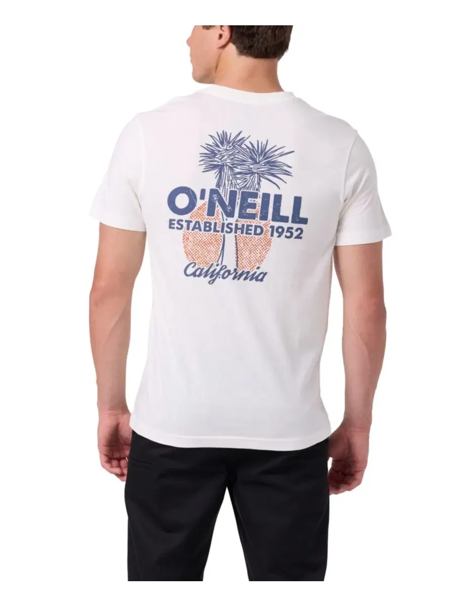 Футболка с графическим принтом O'Neill — изображение 1 из 4, тофу