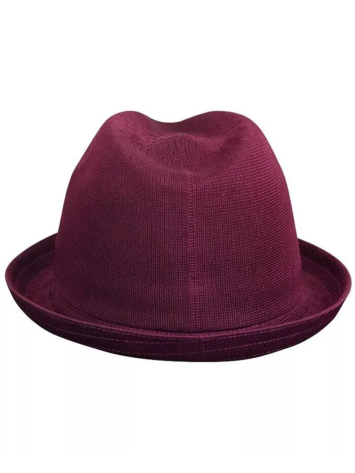 Мужская футболка Tropic Player Fedora Kangol — изображение 2 из 2, бордовый