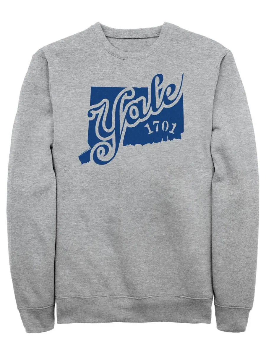 Свитшот с длинным рукавом Yale 1701 Logo Fifth Sun — изображение 1 из 3, приглушенный