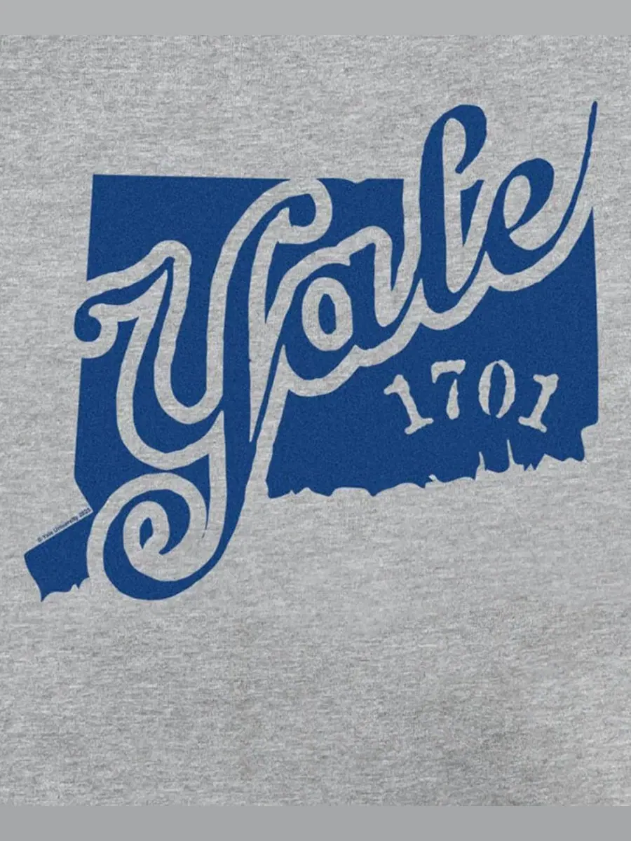 Свитшот с длинным рукавом Yale 1701 Logo Fifth Sun — изображение 3 из 3, приглушенный