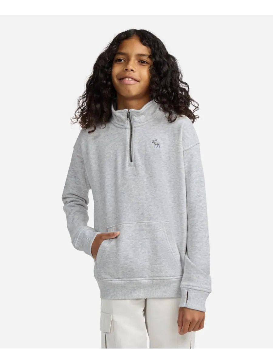 Детская флисовая толстовка Essential с застежкой-молнией до середины груди abercrombie kids — изображение 1 из 6, серый