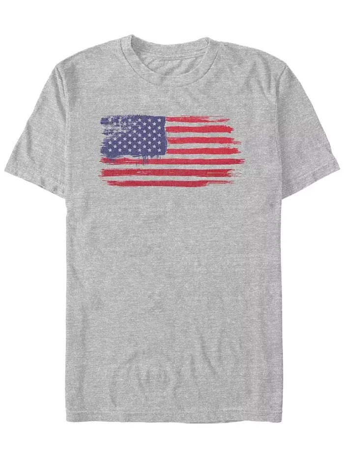 Мужская футболка с коротким рукавом Brush Stroke Flag Generic Additude — серый