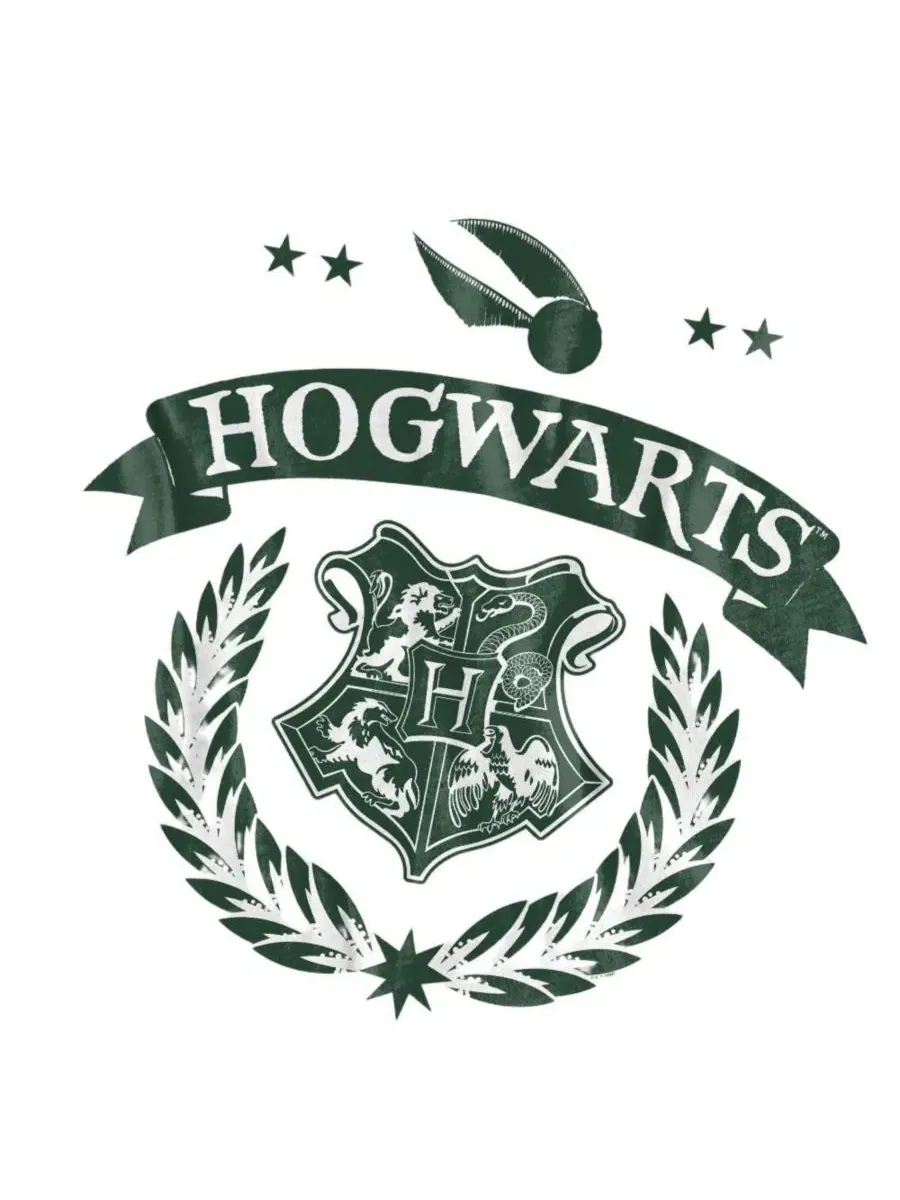 Футболка с принтом Big & Tall Quidditch School Test Harry Potter — изображение 2 из 3, белый