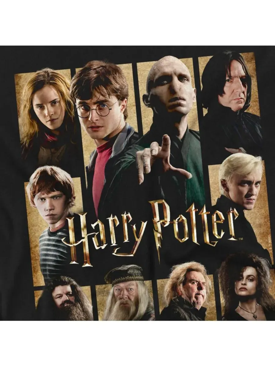 Мужская футболка «Герои, злодеи, квадраты» Harry Potter — изображение 2 из 3, черный