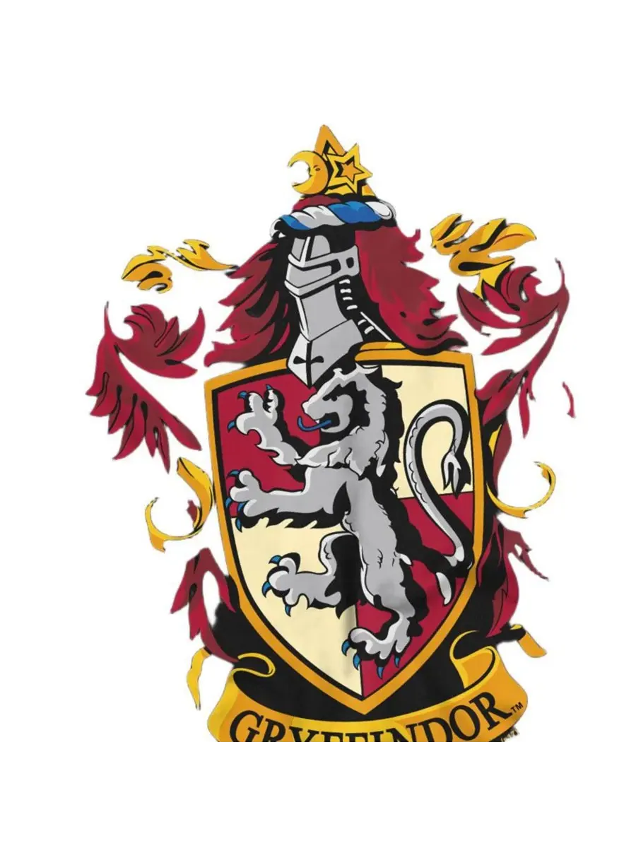Футболка с длинным рукавом Gryffindor Crest Harry Potter — изображение 2 из 3, черный
