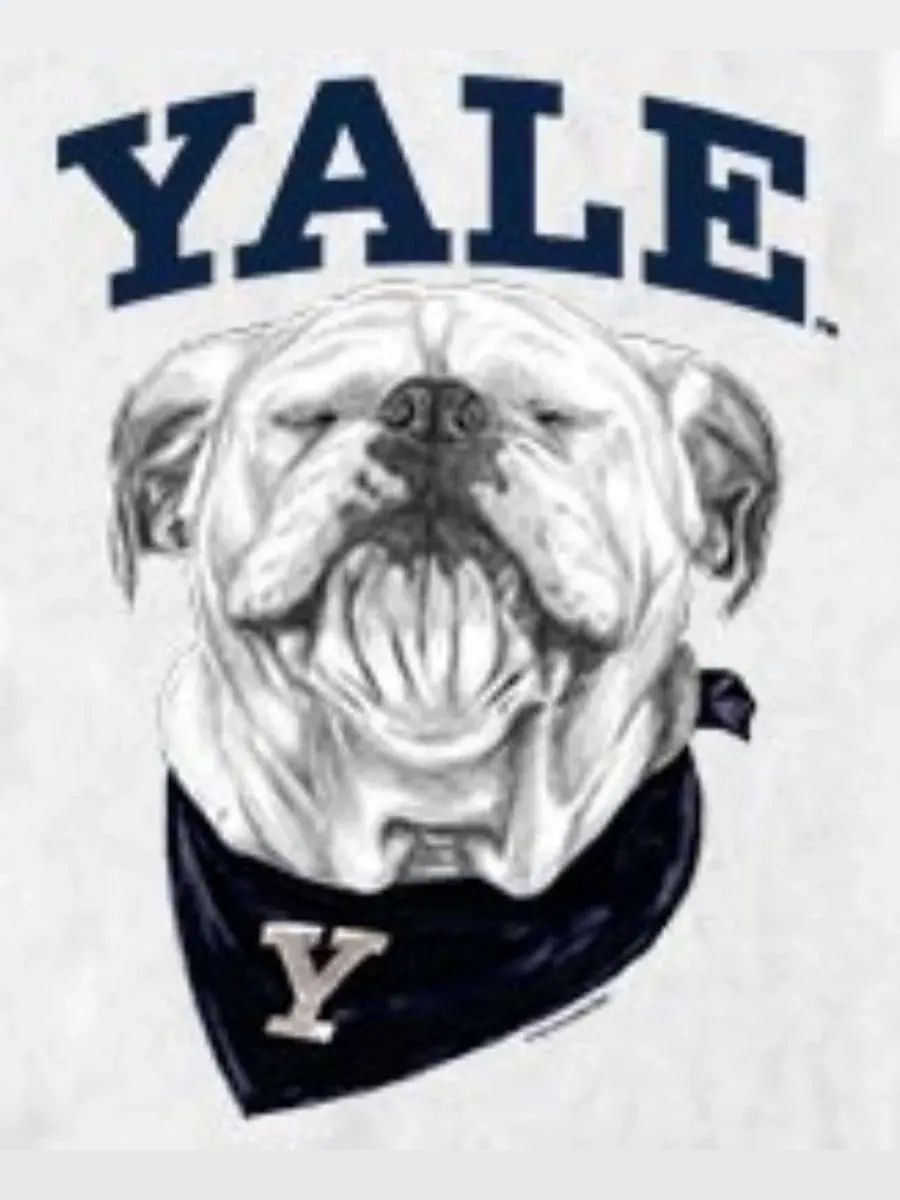 Футболка с принтом Yale Bulldogs Mascot Fifth Sun — изображение 3 из 3, белый