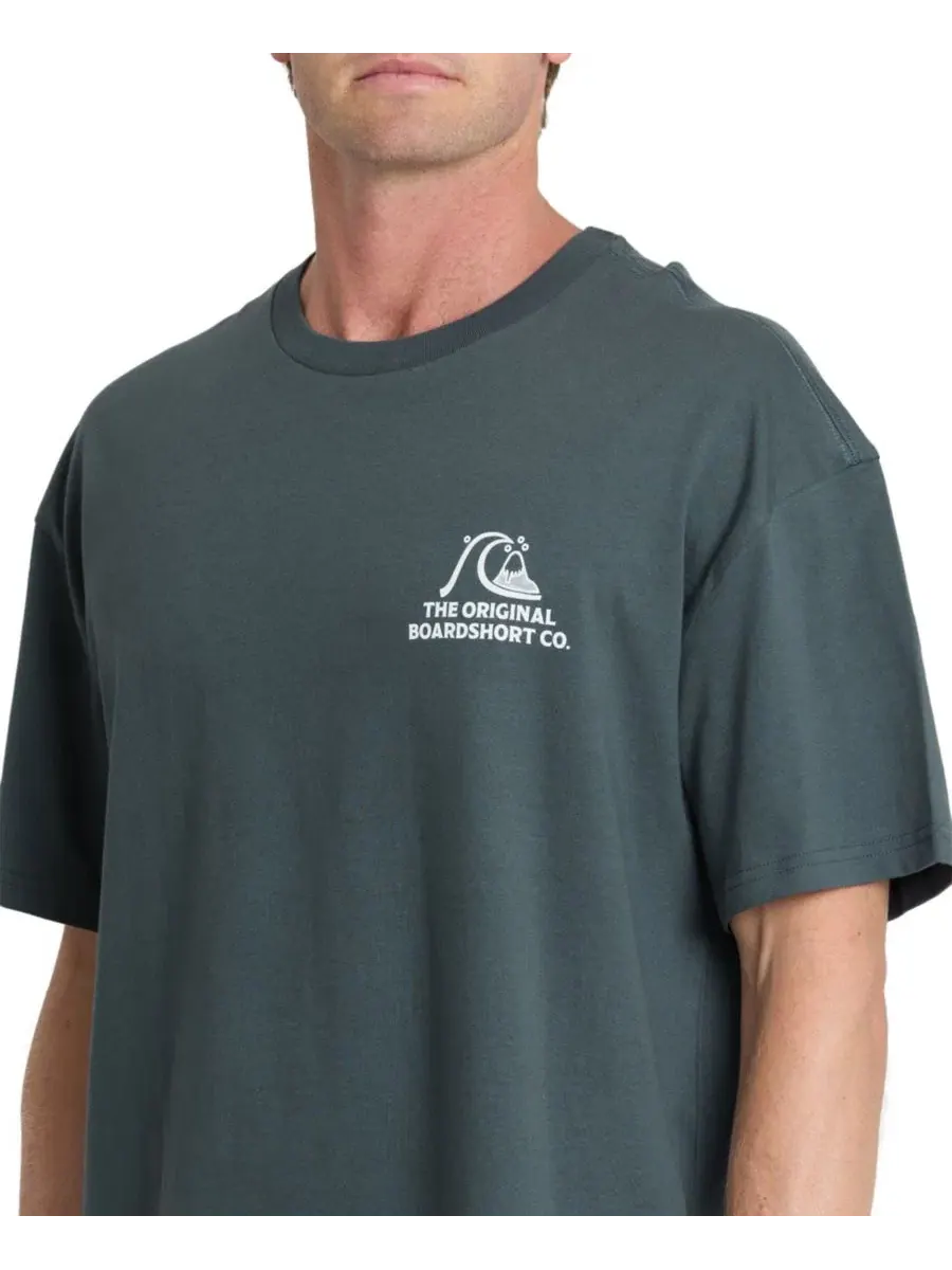 Футболка с коротким рукавом OG Surf Company Org Quiksilver — изображение 4 из 4, серый