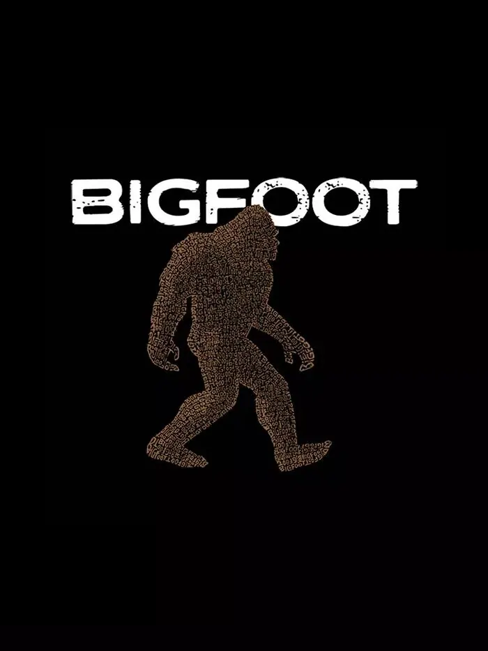 Мужская толстовка Bigfoot - Мужская толстовка с капюшоном Word Art LA Pop Art — изображение 3 из 5, черный