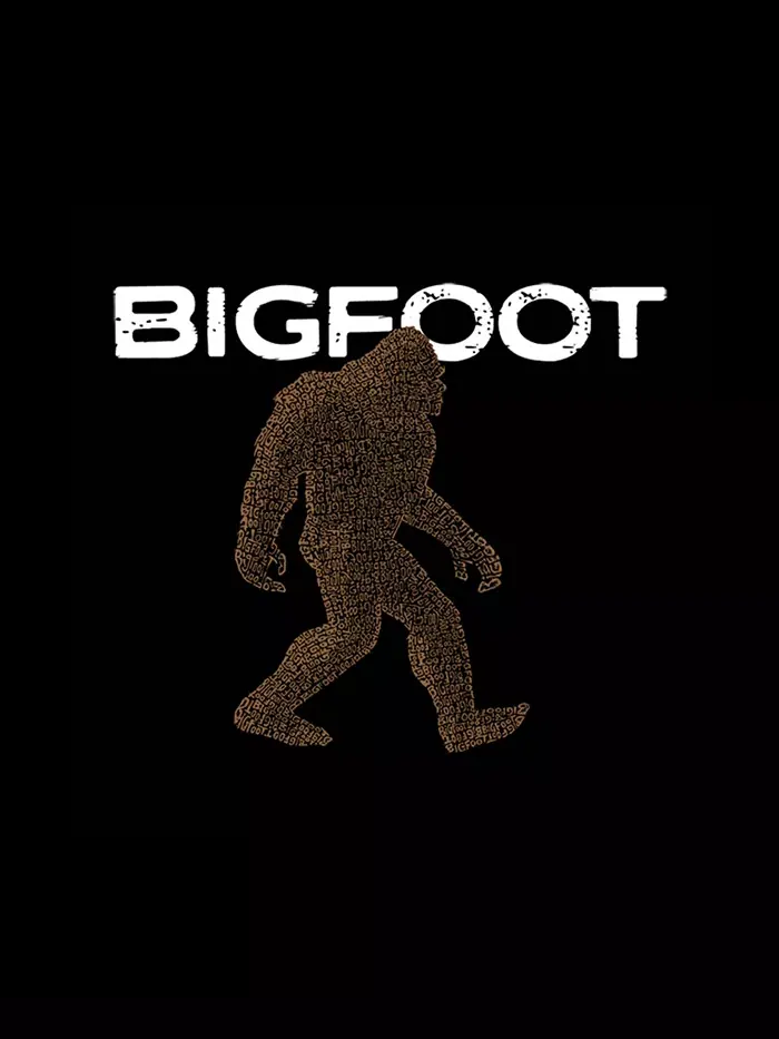 Мужская толстовка с капюшоном Bigfoot и принтом La Pop Art — изображение 3 из 4, серый