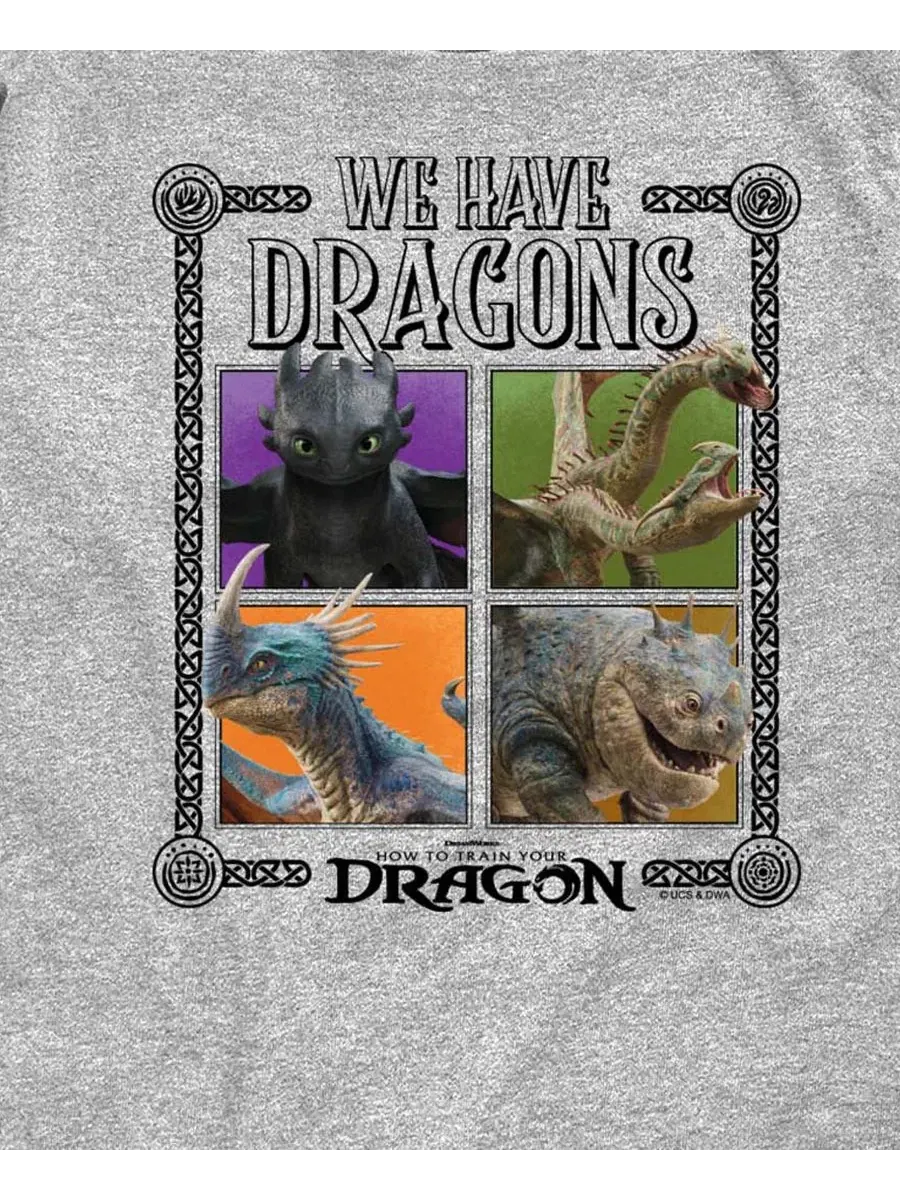 Детская футболка с коротким рукавом, размер 8-20 How To Train Your Dragon — изображение 3 из 3, приглушенный