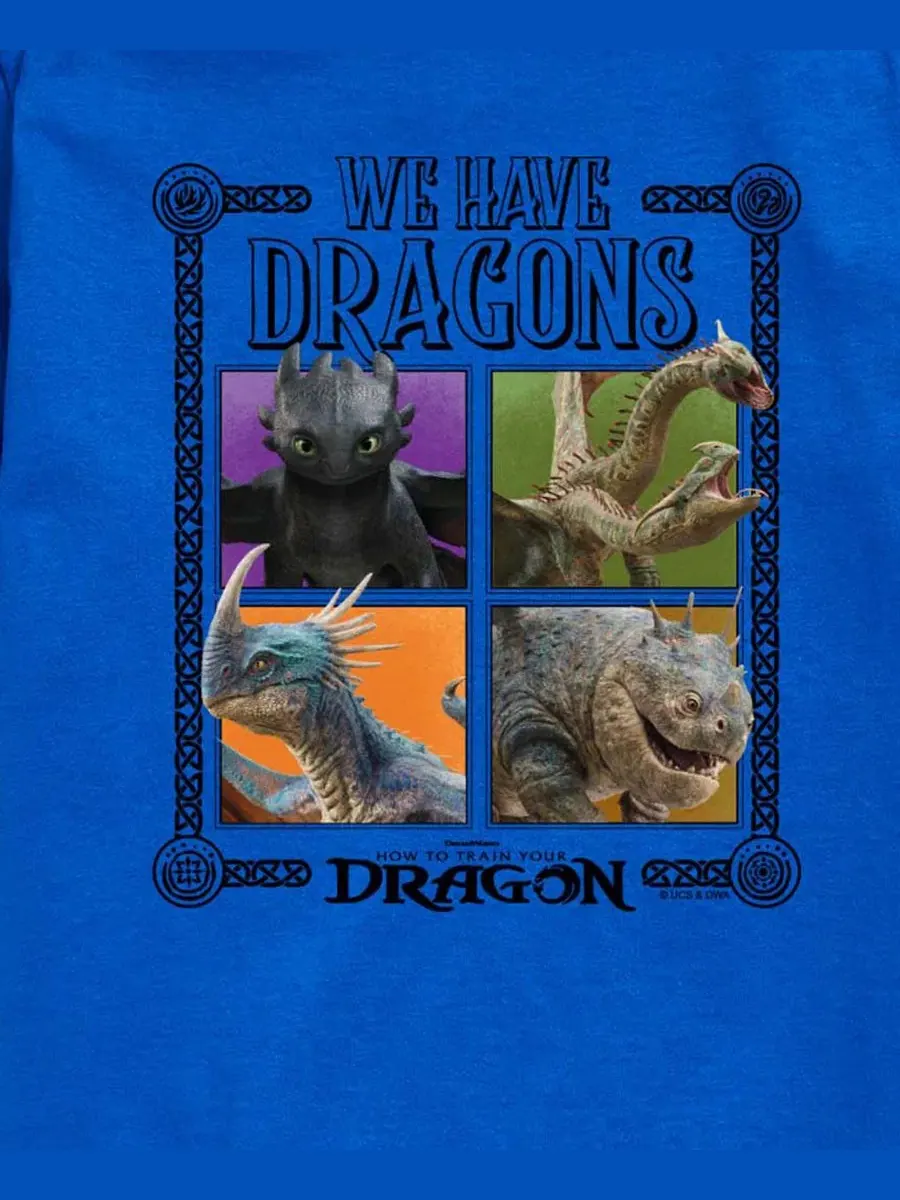 Детская футболка с коротким рукавом, размер 8-20 How To Train Your Dragon — изображение 3 из 3, синий