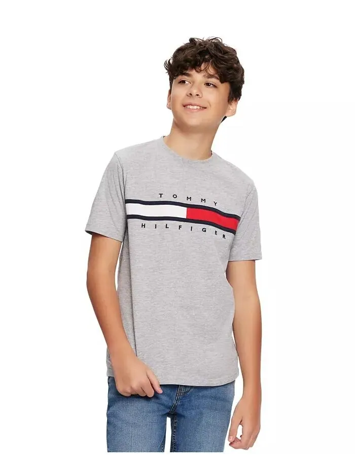 Футболка Big Boy Tommy New Signature Tommy Hilfiger — изображение 1 из 4, серый