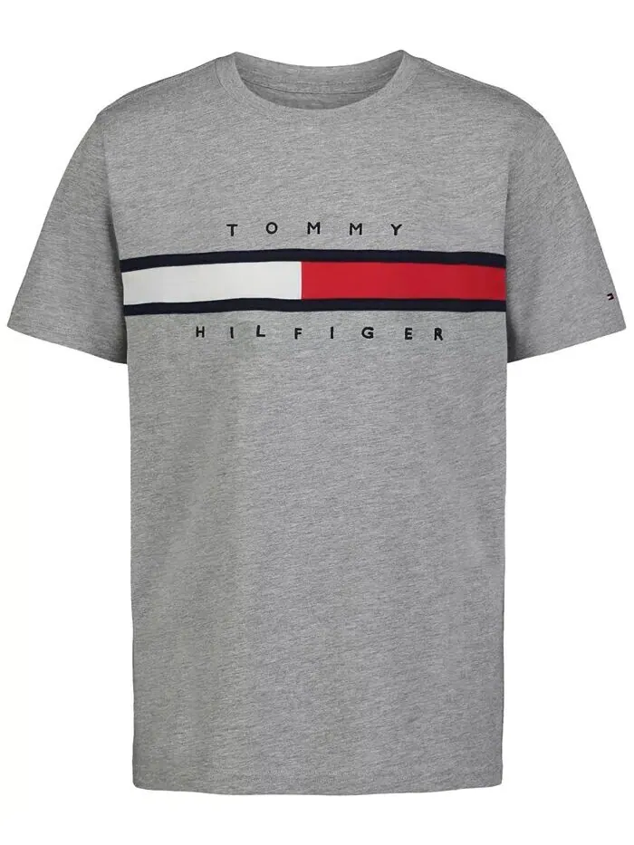 Футболка Big Boy Tommy New Signature Tommy Hilfiger — изображение 4 из 4, серый