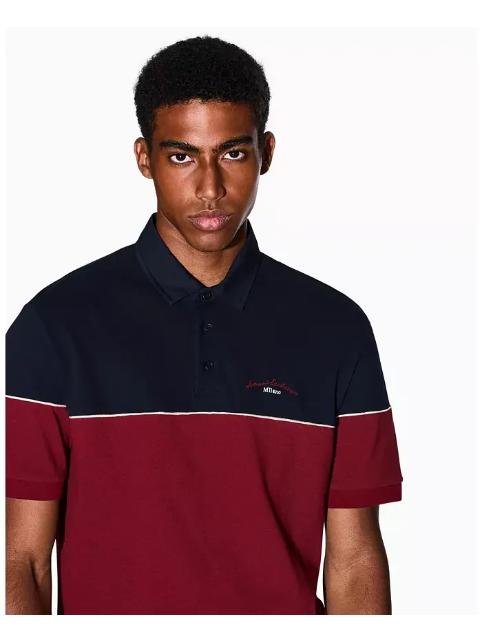 Мужская поло с цветными блоками из пике A|X Armani Exchange — изображение 4 из 5, мульти