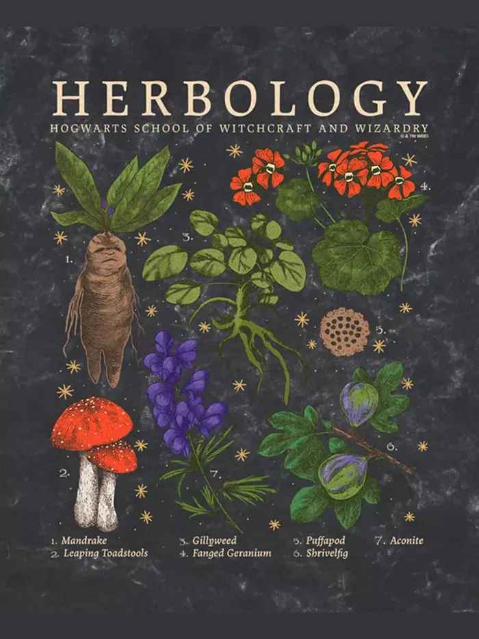 Мужская футболка с коротким рукавом Herbology Deathly Hallows 2 — изображение 3 из 3, черный
