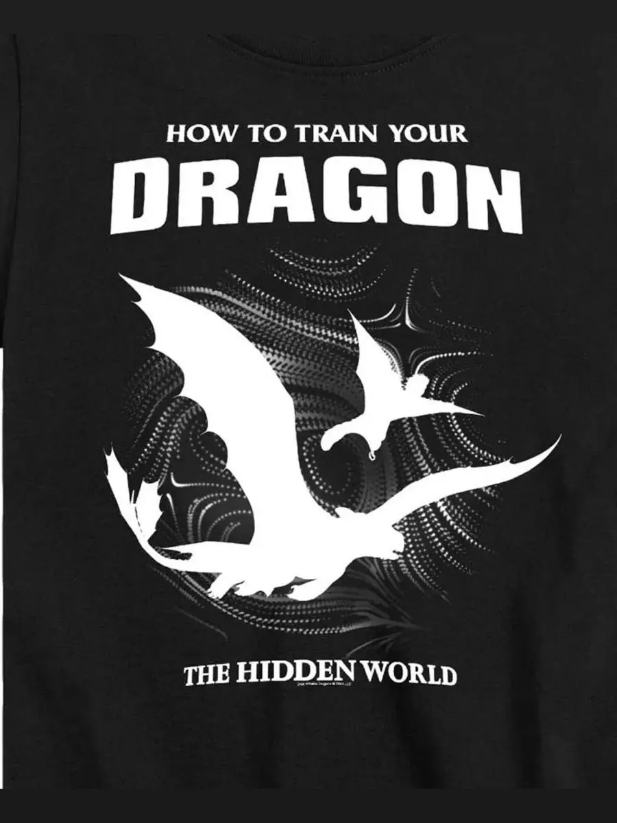 Детская футболка с коротким рукавом для мальчиков, размер 2T-5T How To Train Your Dragon — изображение 3 из 3, черный
