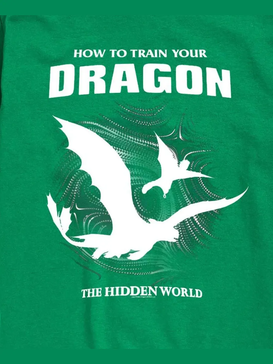 Детская футболка с коротким рукавом для мальчиков, размер 2T-5T How To Train Your Dragon — изображение 3 из 3, зеленый
