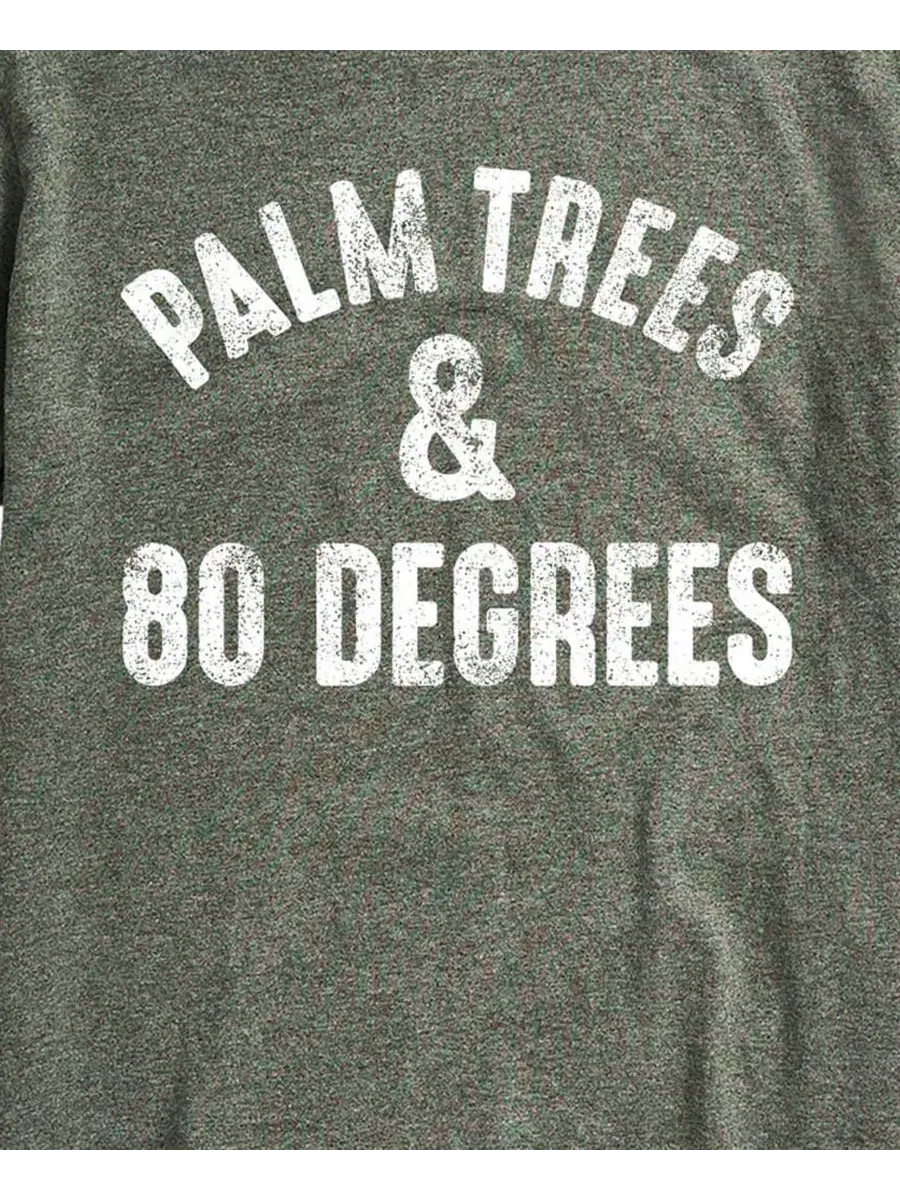 Футболка с коротким рукавом и принтом Palm Trees And 80 Degrees AIRWAVES — изображение 3 из 3, зеленый