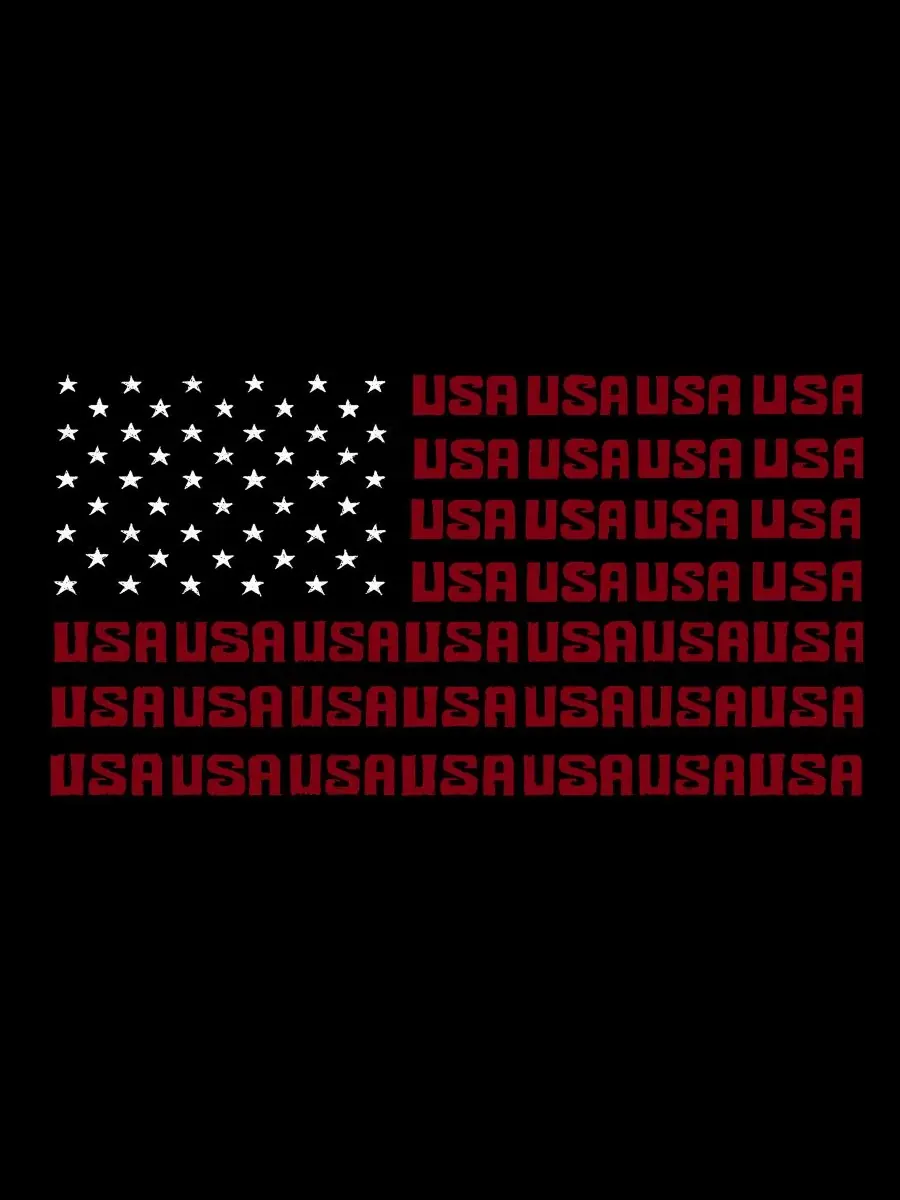 Футболка большого размера с изображением флага США LA Pop Art — изображение 2 из 3, черный