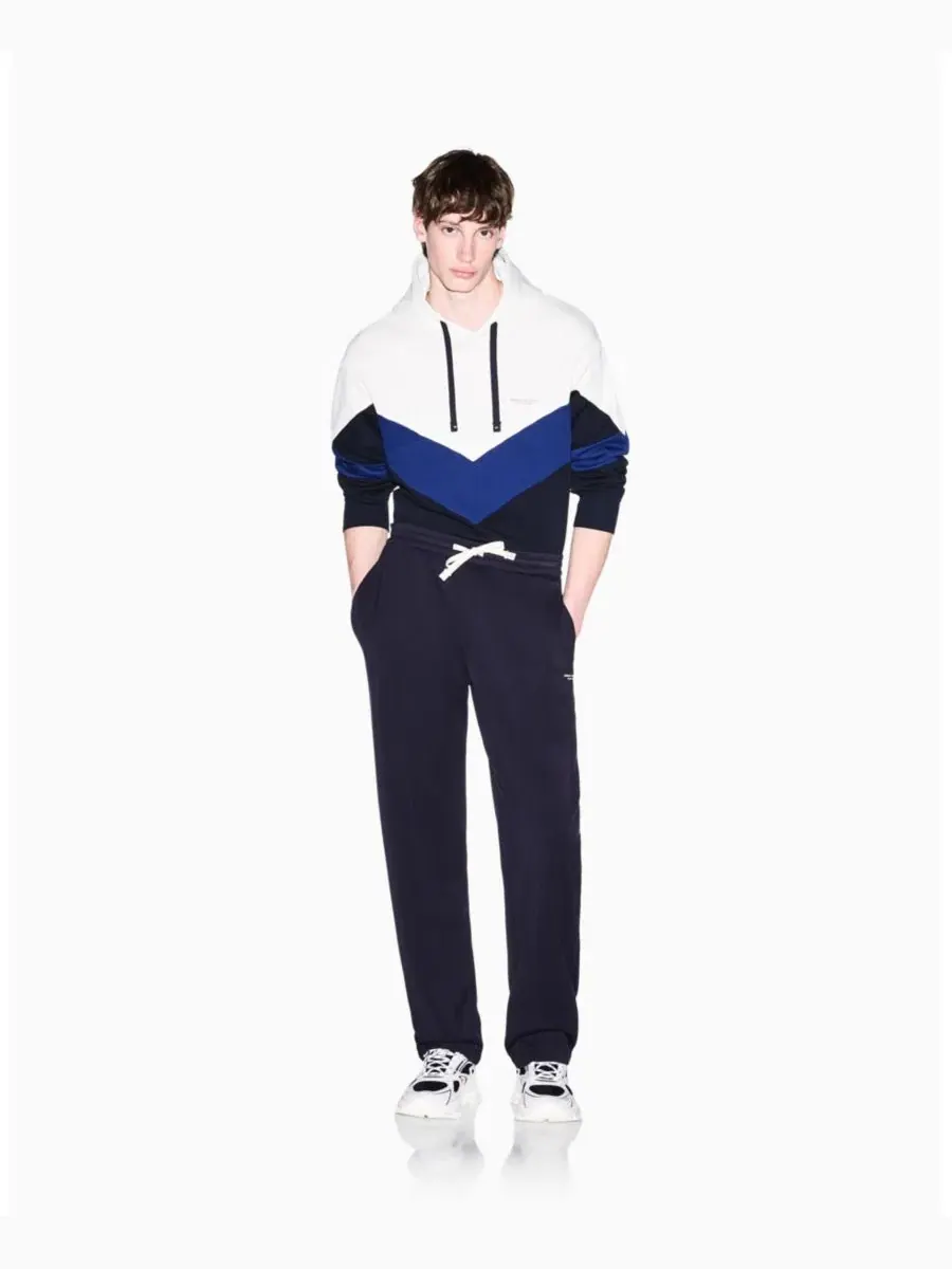 Худи с цветовой блокировкой Chevron Color Block из 100% хлопка A|X Armani Exchange — изображение 6 из 7, белый синий