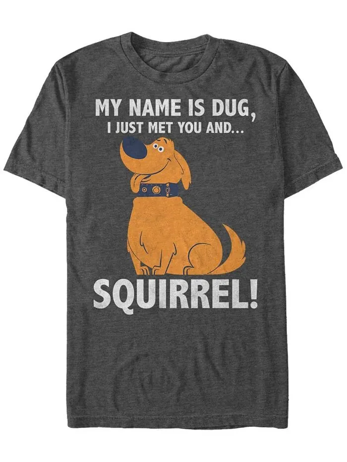 Мужская футболка Disney Pixar Up My Name is Dug Squirrel с короткими рукавами Fifth Sun — изображение 1 из 1, темно-серый