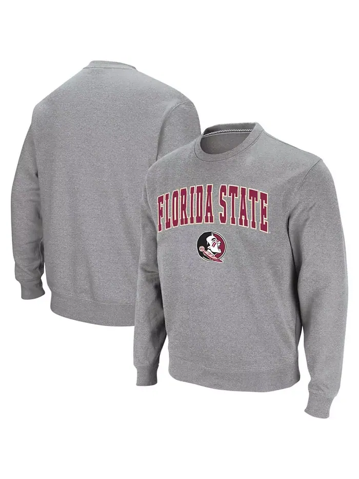 Мужская толстовка Florida State Seminoles с аппликацией в виде арки и логотипа Colosseum — изображение 1 из 6, серый
