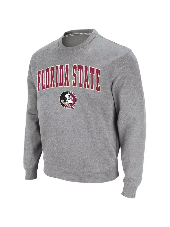 Мужская толстовка Florida State Seminoles с аппликацией в виде арки и логотипа Colosseum — изображение 2 из 6, серый