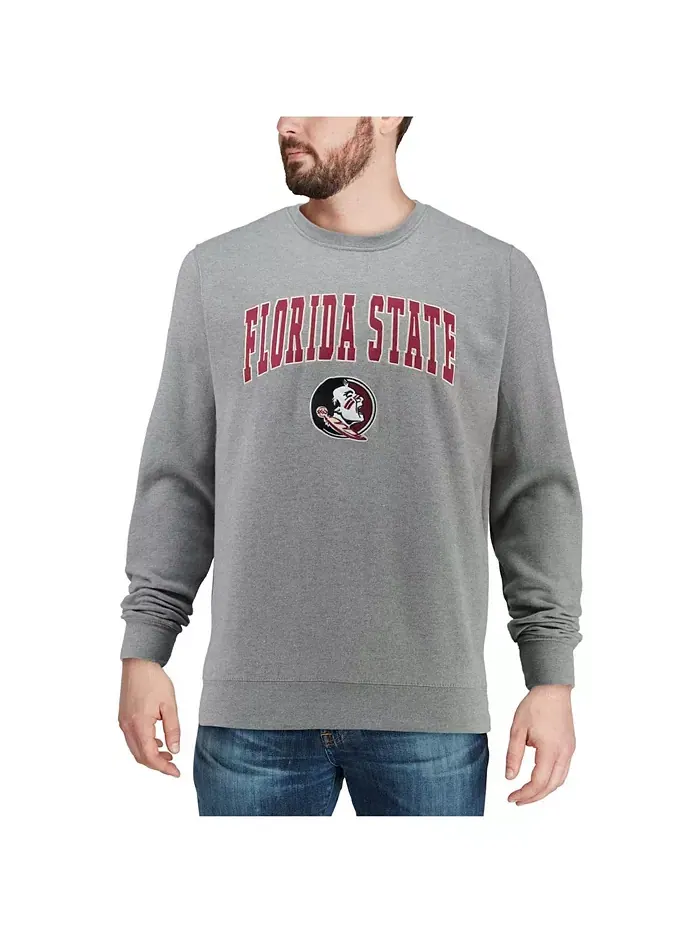 Мужская толстовка Florida State Seminoles с аппликацией в виде арки и логотипа Colosseum — изображение 4 из 6, серый
