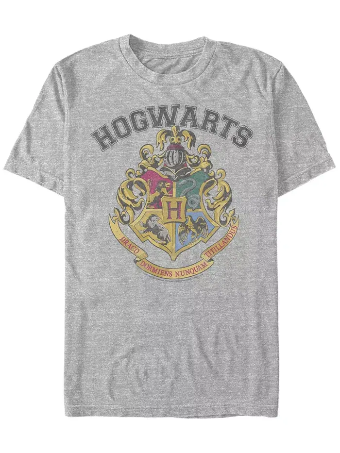 Мужская футболка с коротким рукавом Harry Potter с винтажным логотипом Fifth Sun — изображение 1 из 1, серый