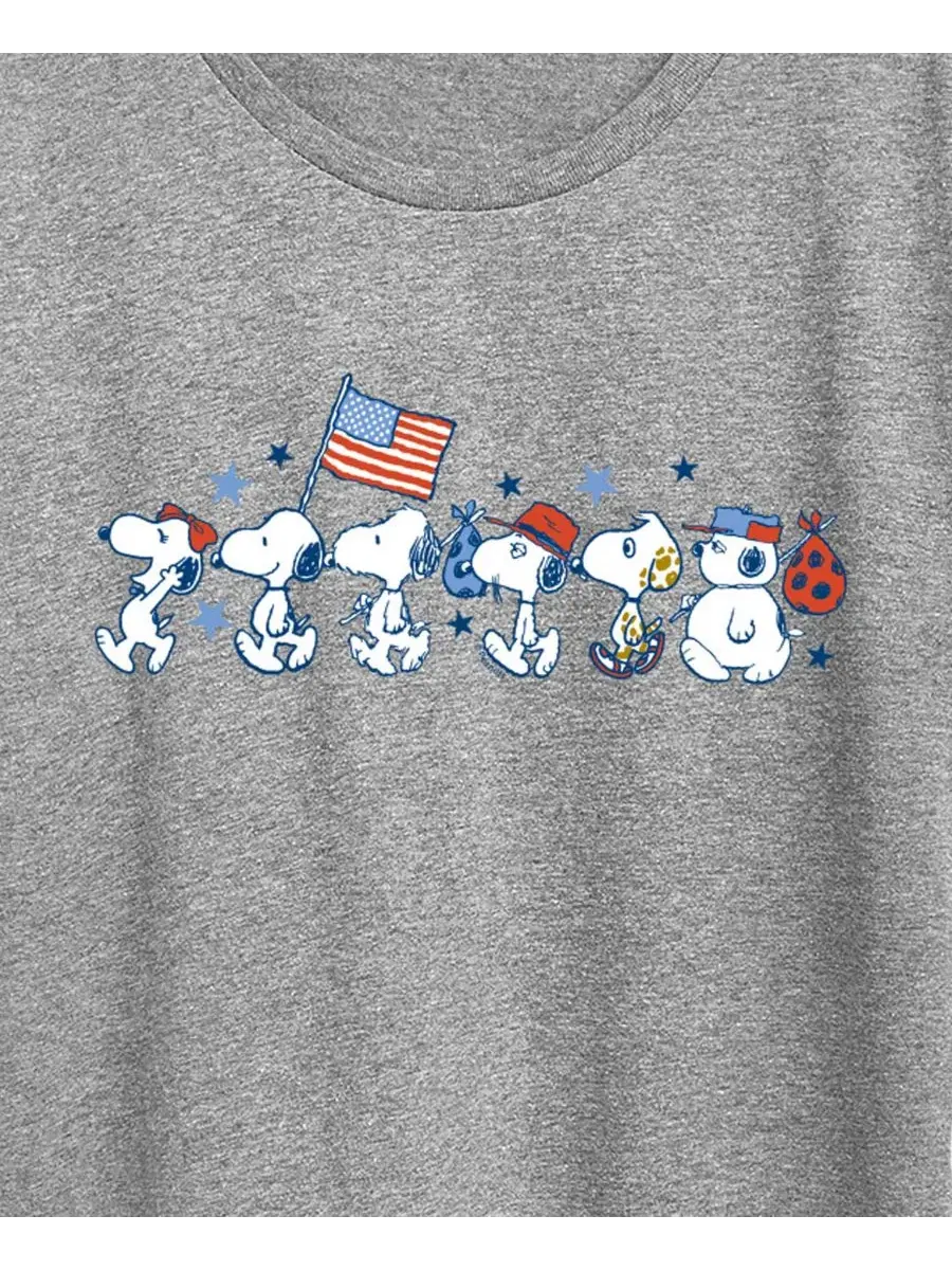 Футболка с коротким рукавом и графическим принтом "Peanuts, Snoopy, Sibs Americana" для полных — изображение 2 из 3, серый