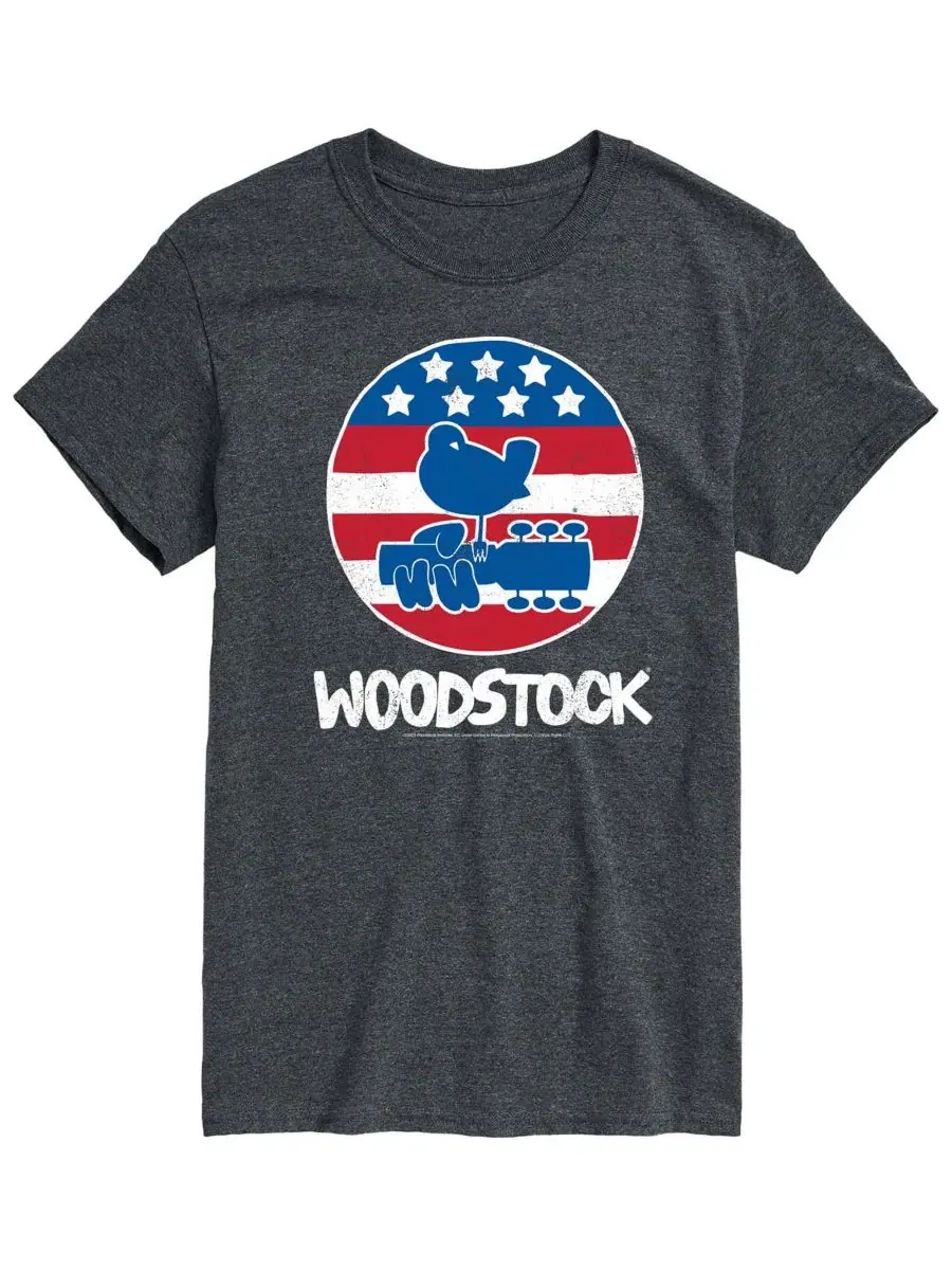 Мужская футболка с коротким рукавом и графическим принтом Woodstock Americana Airwaves — изображение 1 из 3, темно-серый