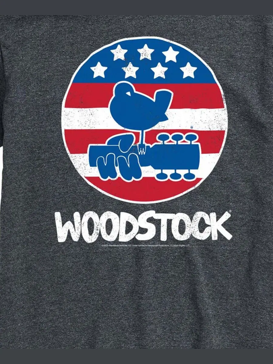 Мужская футболка с коротким рукавом и графическим принтом Woodstock Americana Airwaves — изображение 3 из 3, темно-серый