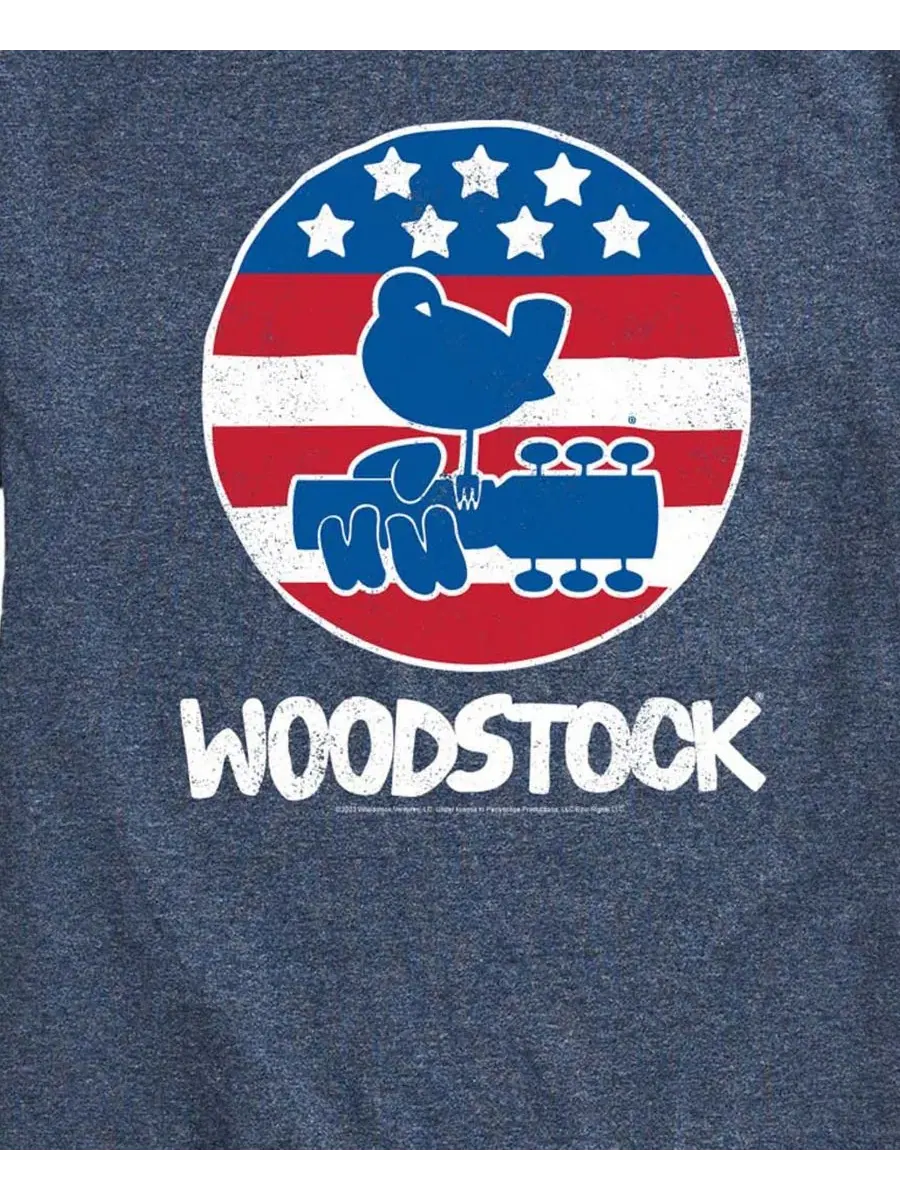 Мужская футболка с коротким рукавом и графическим принтом Woodstock Americana Airwaves — изображение 3 из 3, синий
