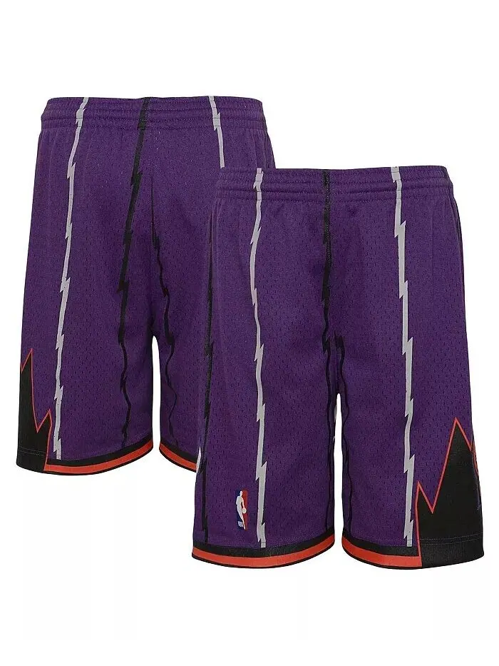 Большие мальчики Фиолетовый Toronto Raptors Hardwood Classics Swingman шорты Mitchell & Ness — изображение 1 из 4