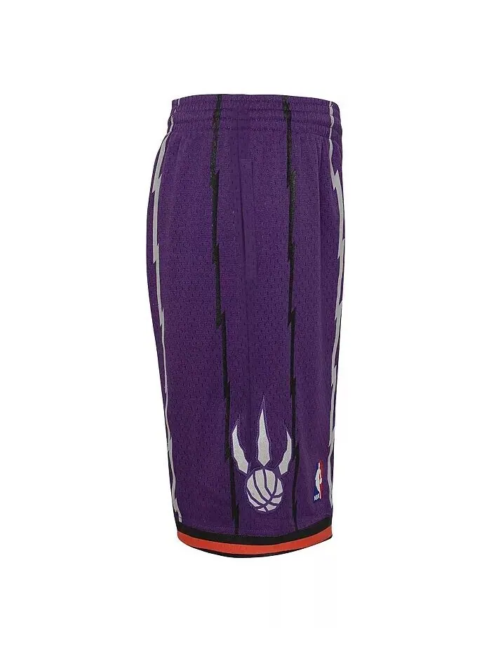 Большие мальчики Фиолетовый Toronto Raptors Hardwood Classics Swingman шорты Mitchell & Ness — изображение 4 из 4