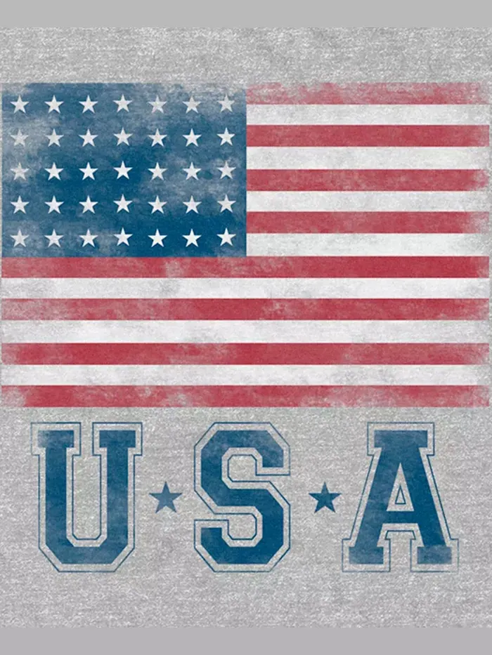Мужская футболка с коротким рукавом USA Two Star Flag 2 Fifth Sun — изображение 3 из 3, приглушенный