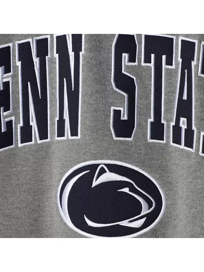 Мужской свитшот с круглым вырезом и арочным логотипом Penn State Nittany Lions Colosseum — изображение 3 из 10, серый