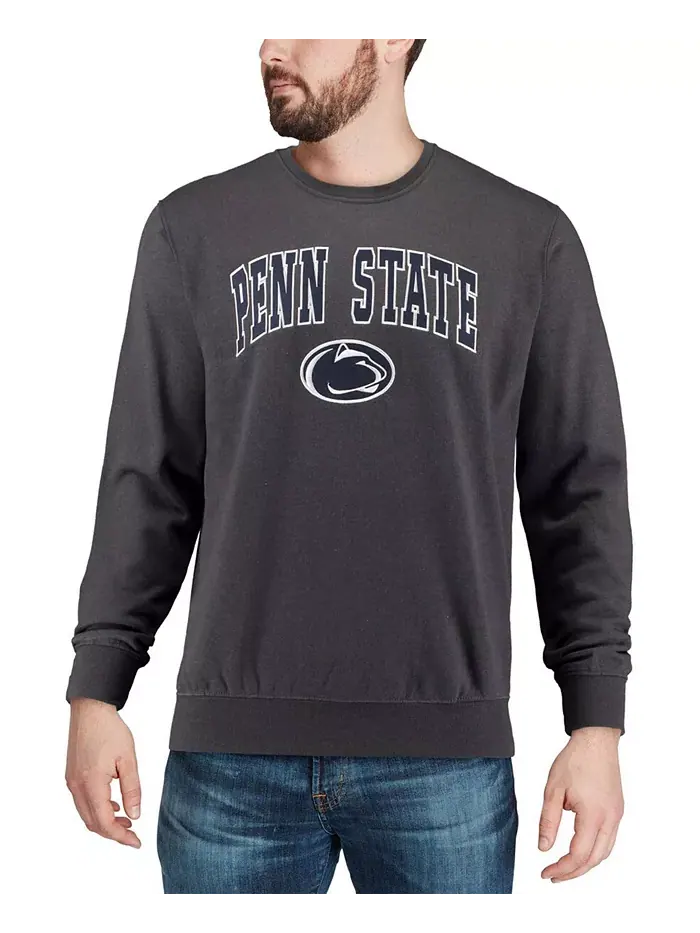 Мужской свитшот с круглым вырезом и арочным логотипом Penn State Nittany Lions Colosseum — изображение 10 из 10, серый