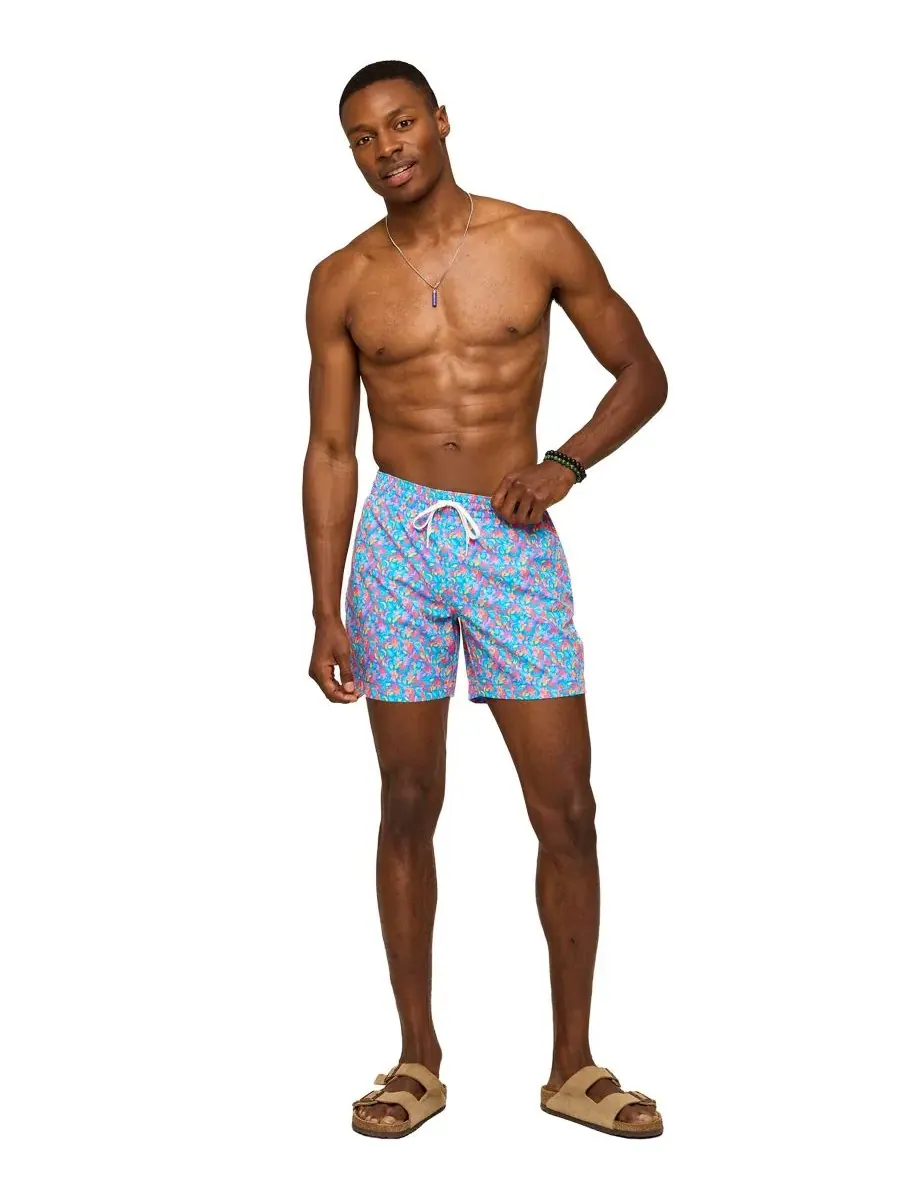Мужские плавки The Spades Classic 5,5 дюймов Chubbies — изображение 2 из 3, синий