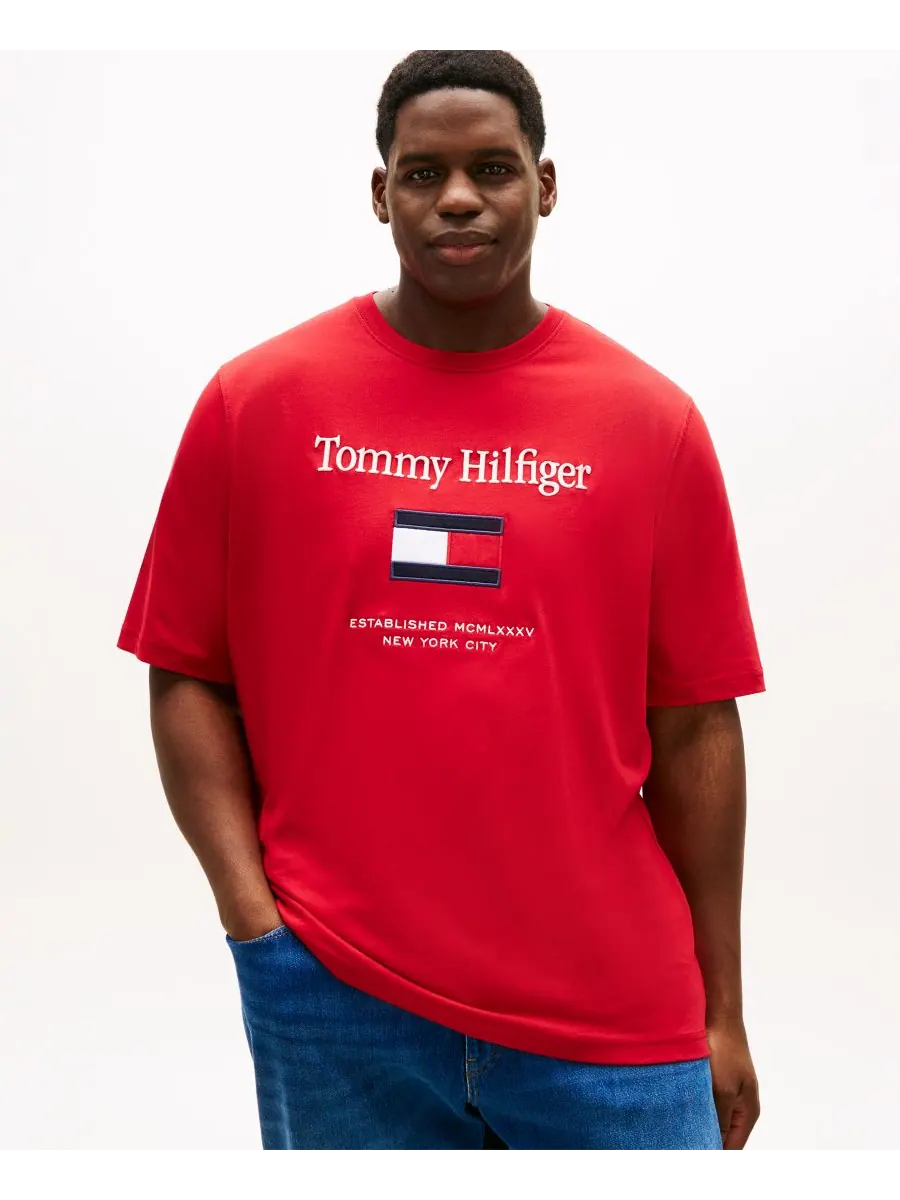 Мужская футболка больших размеров с вышитым флагом Tommy Hilfiger — изображение 1 из 4, красный