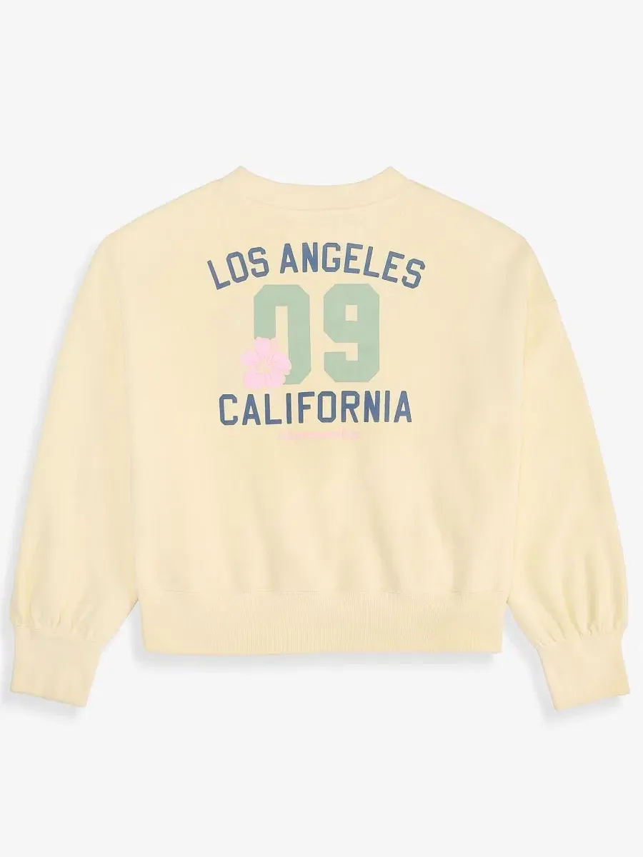 Модная флисовая толстовка с круглым вырезом для девочек 5-16 лет Abercrombie Kids — изображение 5 из 6, анисовый цветок